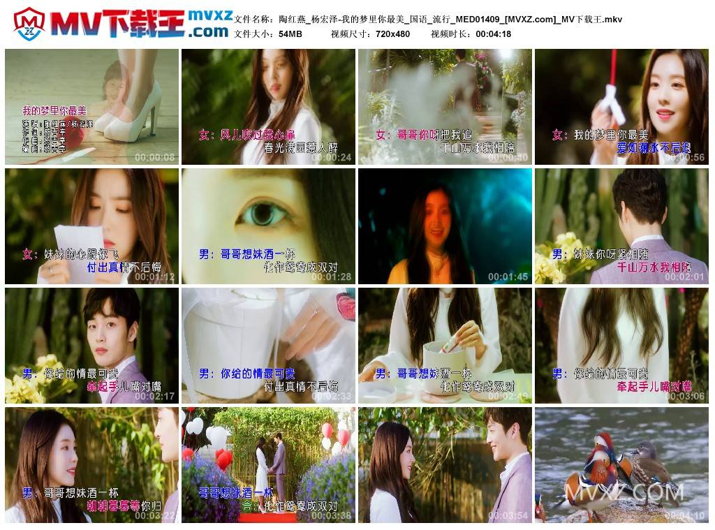 陶红燕_杨宏泽-我的梦里你最美_国语_流行_MED01409
